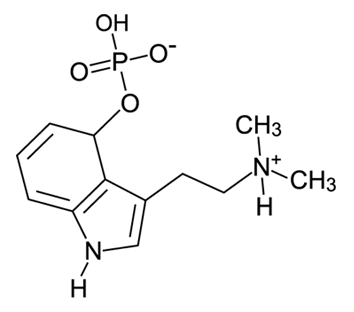 Structure de la Psilocybine Structure de la Psilocybine